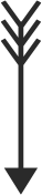 Scroll Down